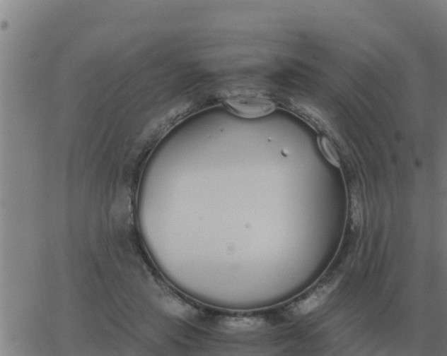 X0000062850453200601272045