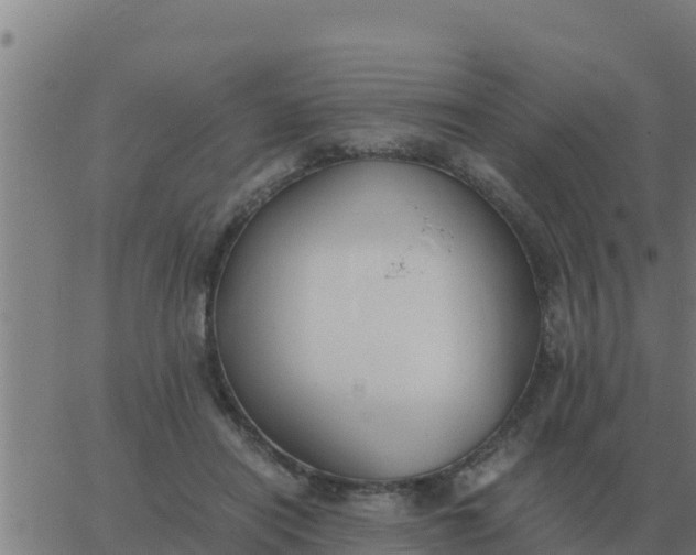 X0000062850454200601272045