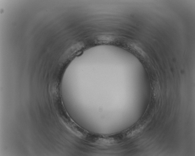 X0000062850455200601272045