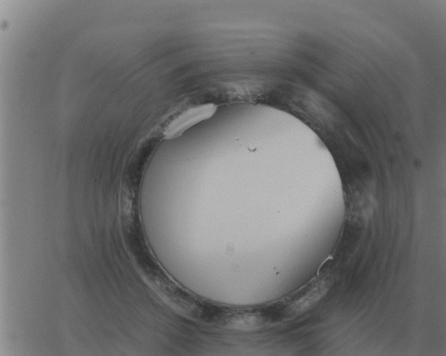 X0000062850456200601272045