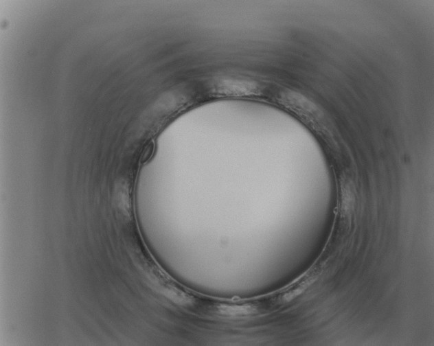 X0000062850457200601272045