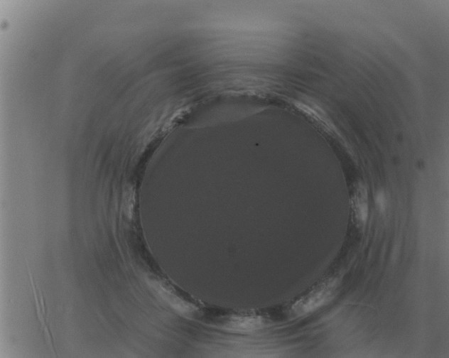 X0000062850458200601272045