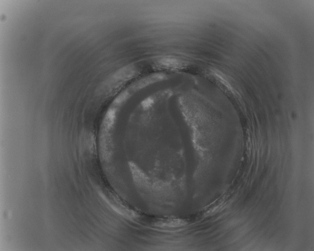 X0000062850459200601272046