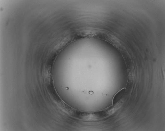 X0000062850460200601272046