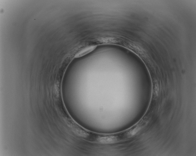 X0000062850461200601272046