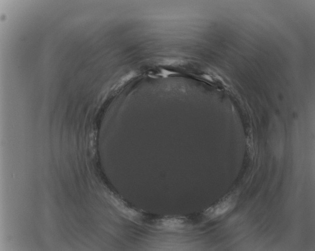 X0000062850462200601272046