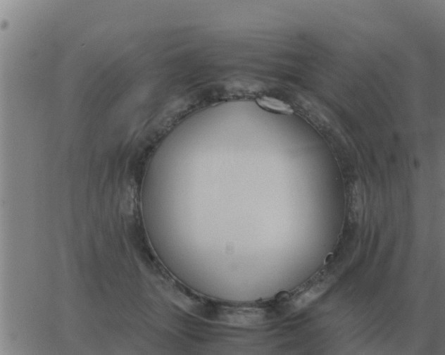 X0000062850463200601272046