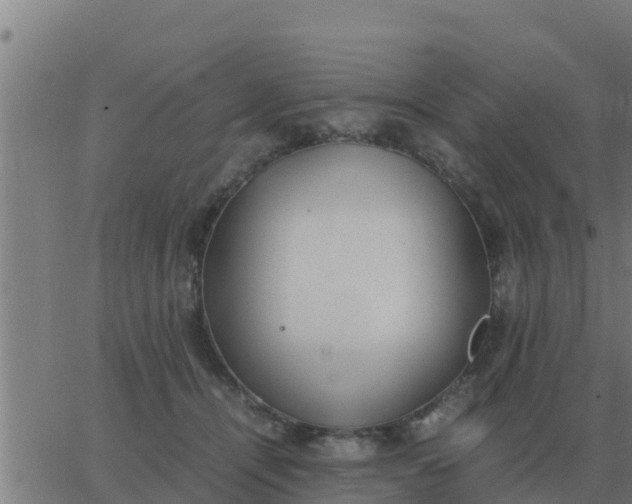 X0000062850464200601272046