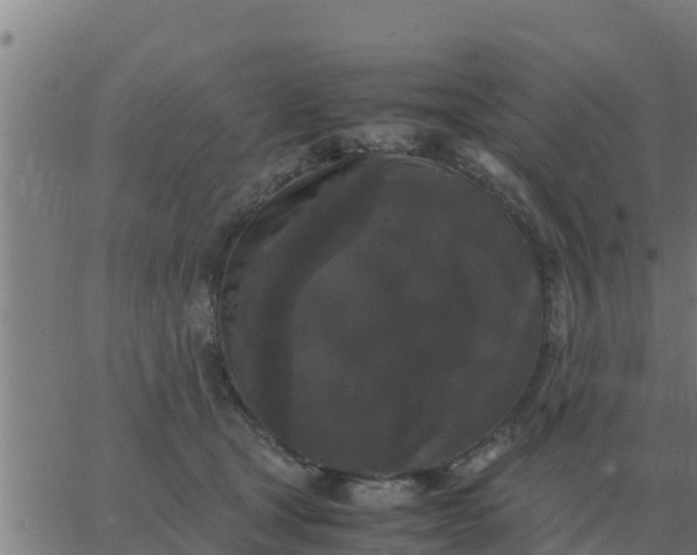 X0000062850465200601272046