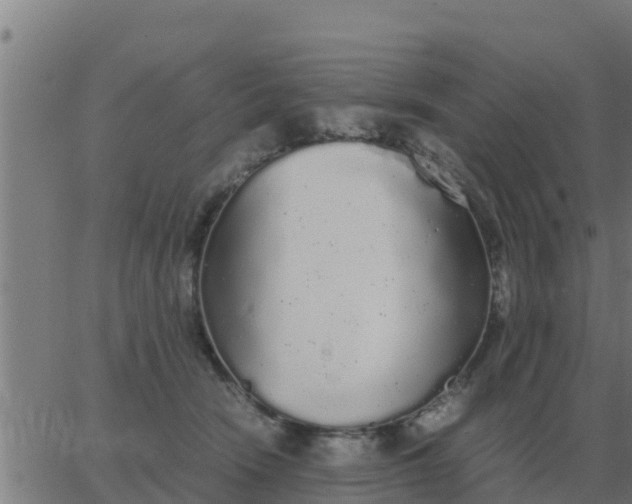 X0000062850466200601272046