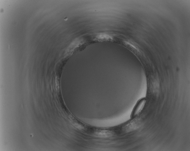 X0000062850467200601272046