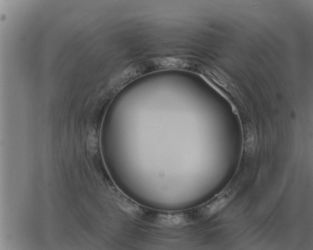 X0000062850469200601272046