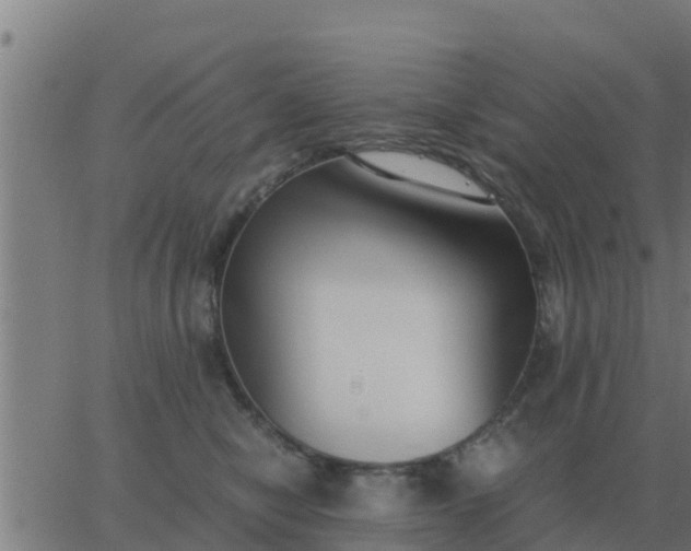 X0000062850470200601272046