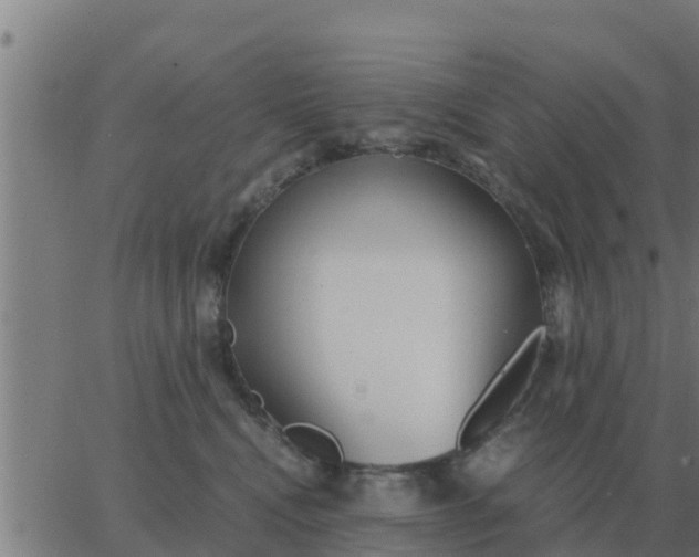 X0000062850472200601272046