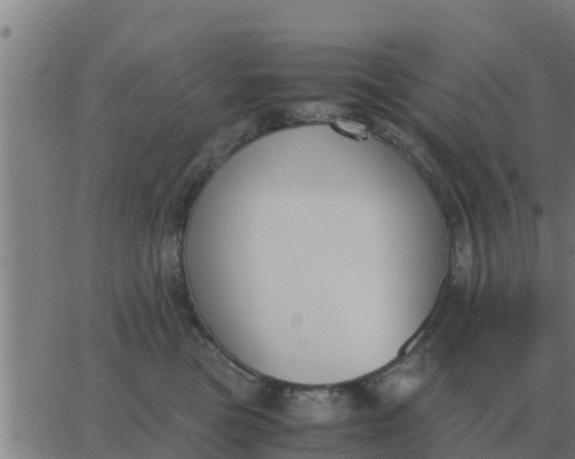 X0000062850473200601272046