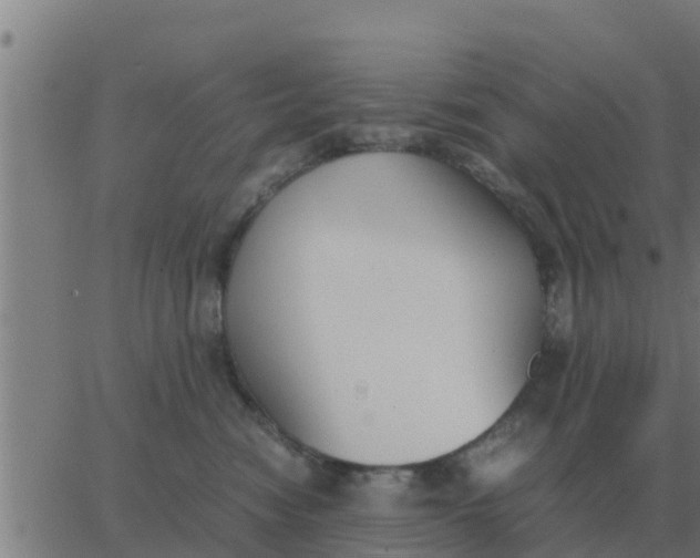 X0000062850474200601272046