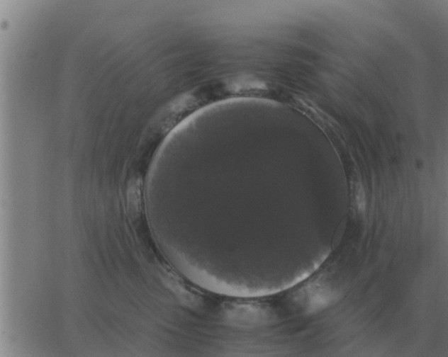 X0000062850475200601272046