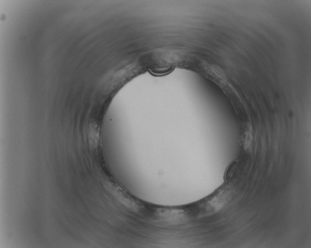 X0000062850476200601272046