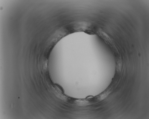 X0000062850477200601272046