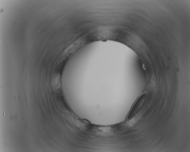 X0000062850478200601272046