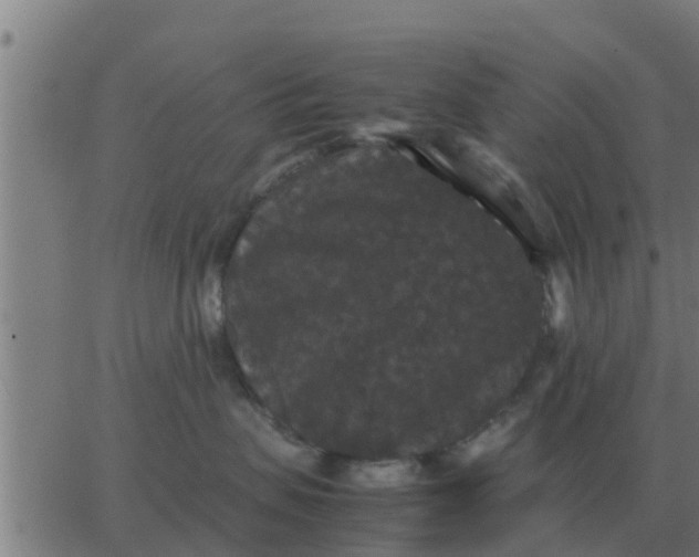 X0000062850479200601272046