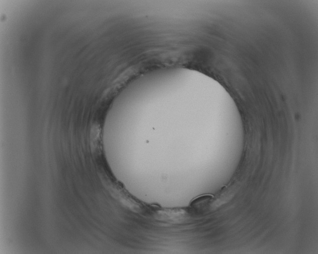 X0000062850480200601272046