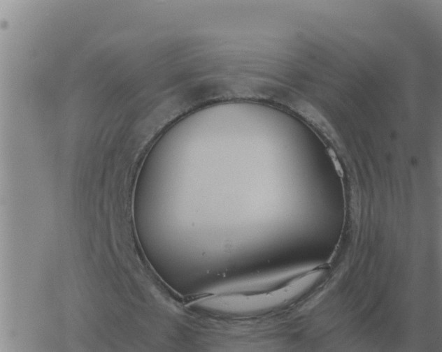 X0000062850481200601272045