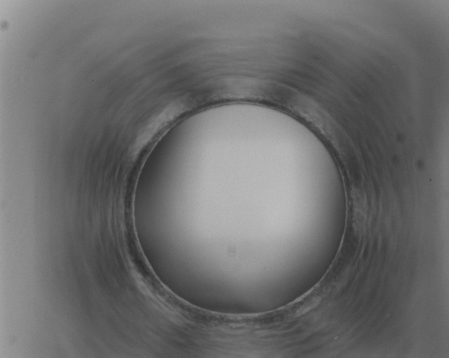 X0000062850482200601272045