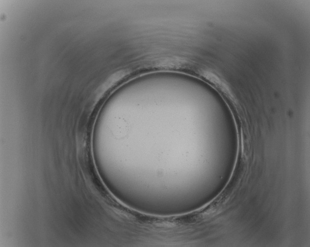 X0000062850483200601272045