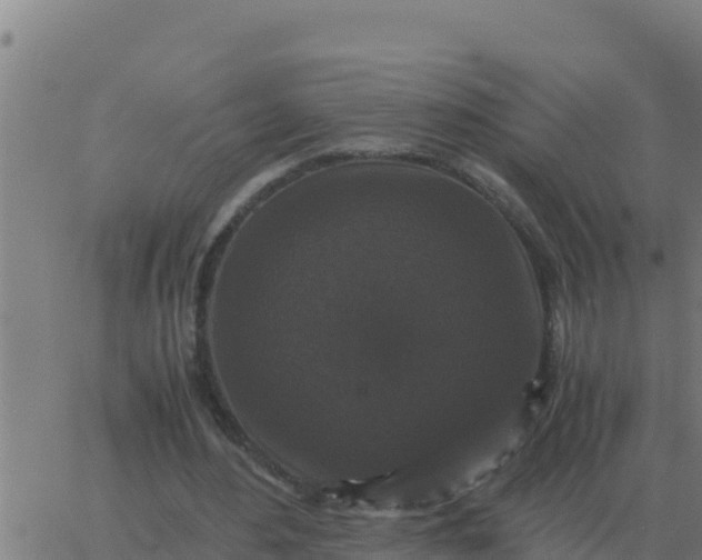 X0000062850484200601272045