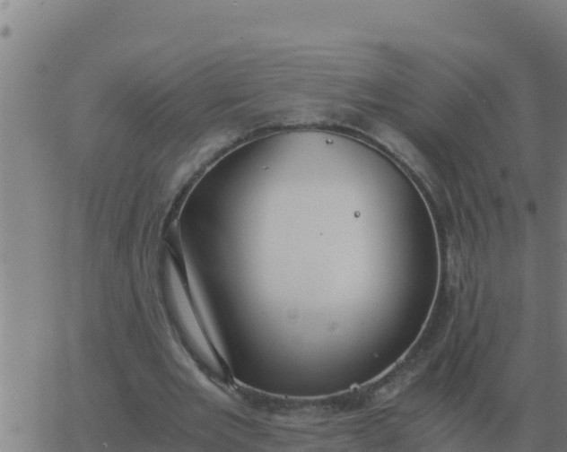 X0000062850485200601272045