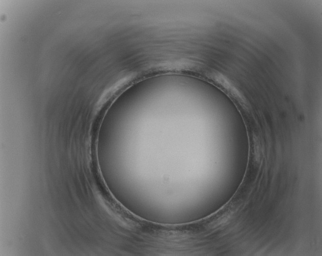 X0000062850486200601272045