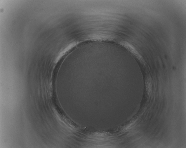 X0000062850488200601272045