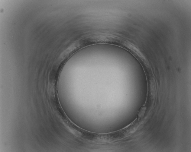 X0000062850489200601272045