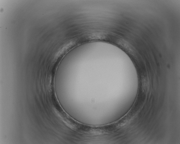 X0000062850490200601272045