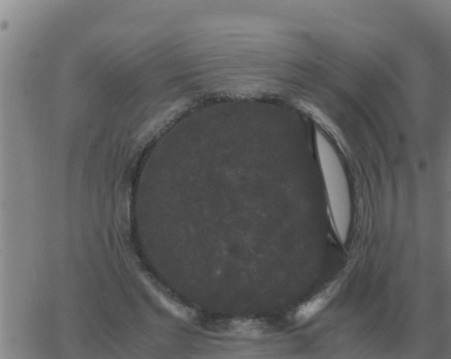 X0000062850493200601272045