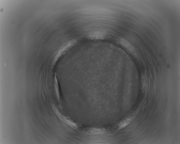 X0000062850494200601272045