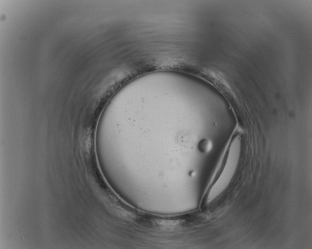 X0000062850495200601272045