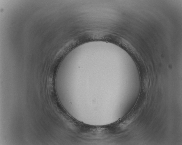 X0000062850497200601272045