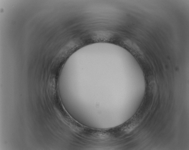 X0000062850498200601272045