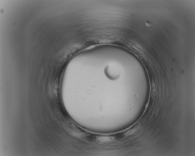 X0000062850499200601272045