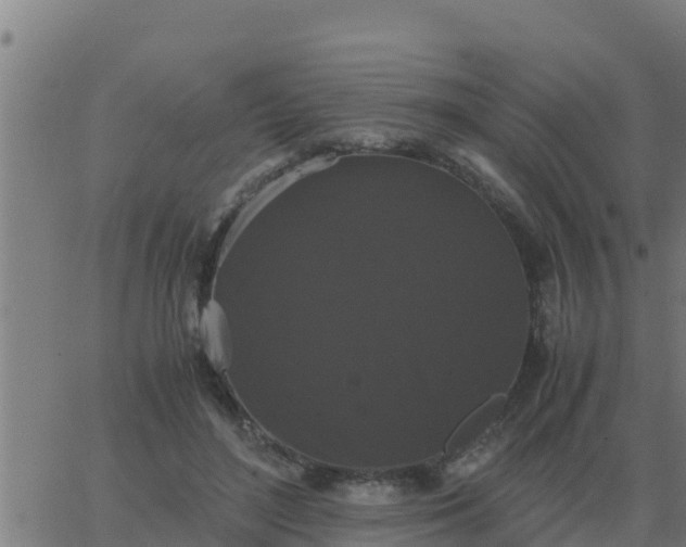 X0000062850500200601272045