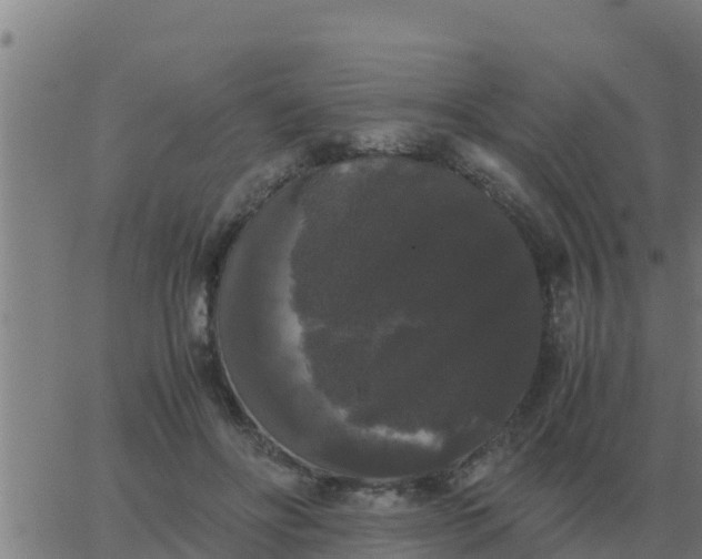 X0000062850502200601272045