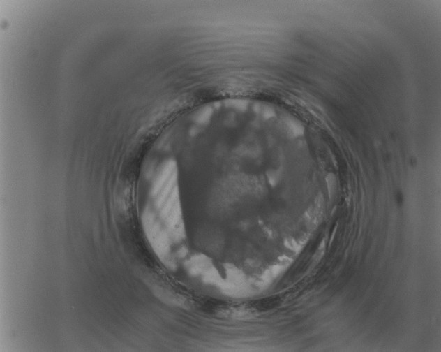 X0000062850503200601272045