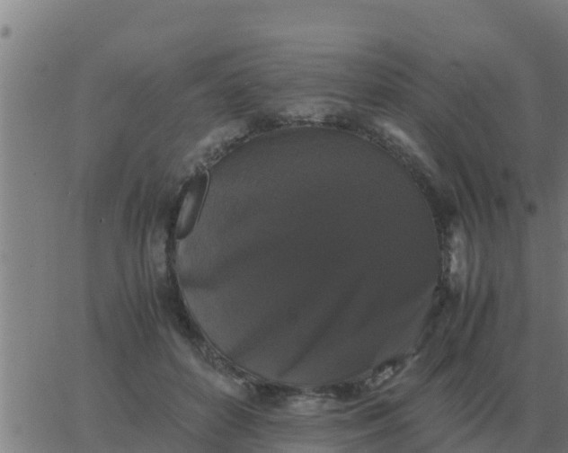 X0000062850504200601272045