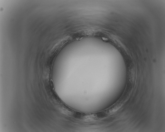 X0000062850505200601272045