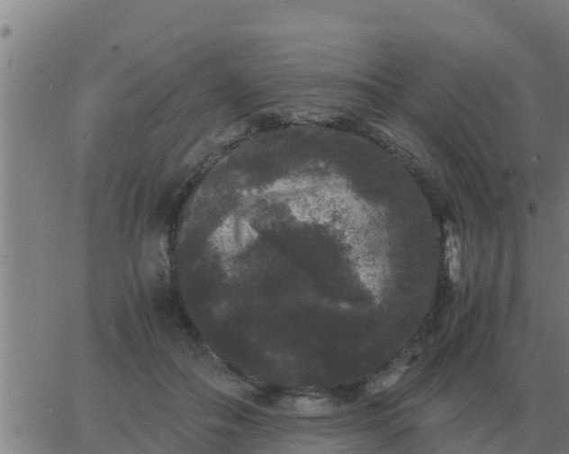 X0000062850506200601272045