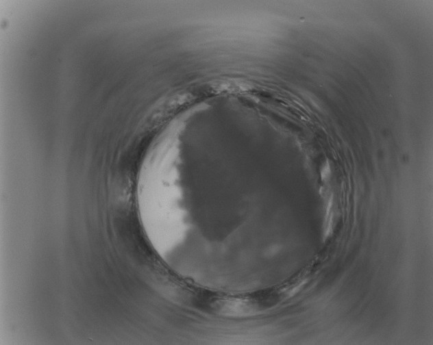 X0000062850507200601272045