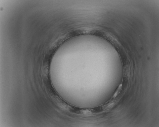 X0000062850509200601272045