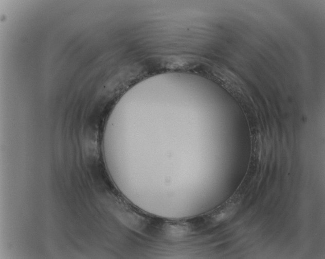 X0000062850510200601272045